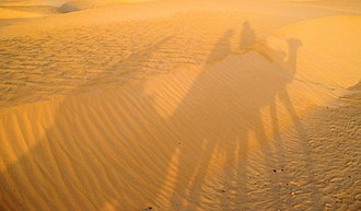 Səhranın Tunisə aid hissəsi